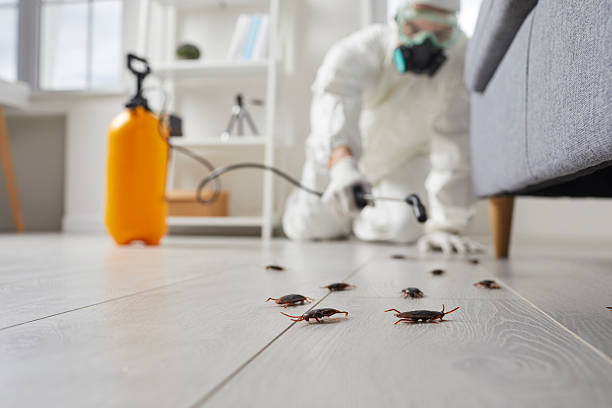 Post-Treatment Bed Bug Interceptor Monitoring in Juniper Canyon