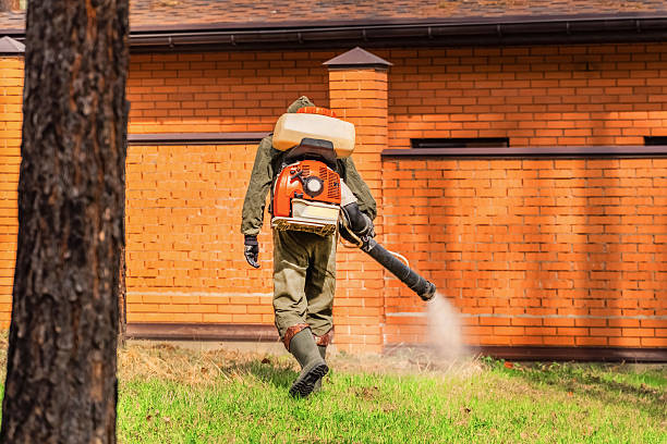 Bed Bug Clearance Verification and Documentation in Juniper Canyon